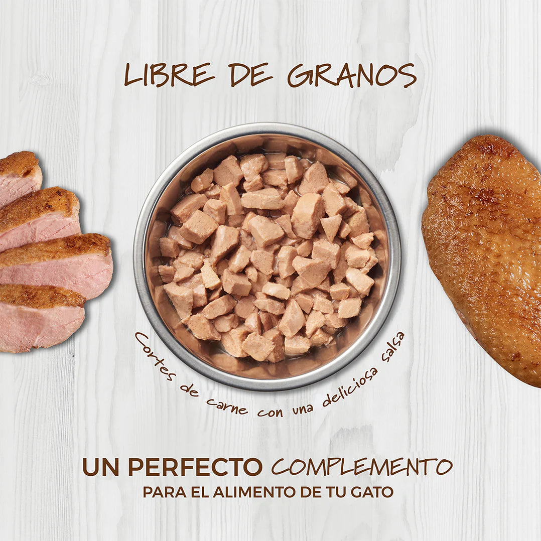 Instinct Healthy Cravings Alimento Húmedo para Gato | Sabor Salmón | Sobre 85g