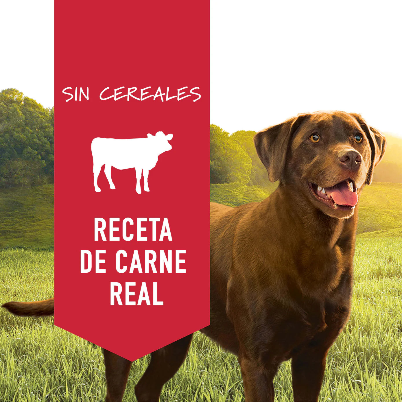 Instinct Original | Alimento Húmedo para Perro | Sabor Res | Lata 374 g