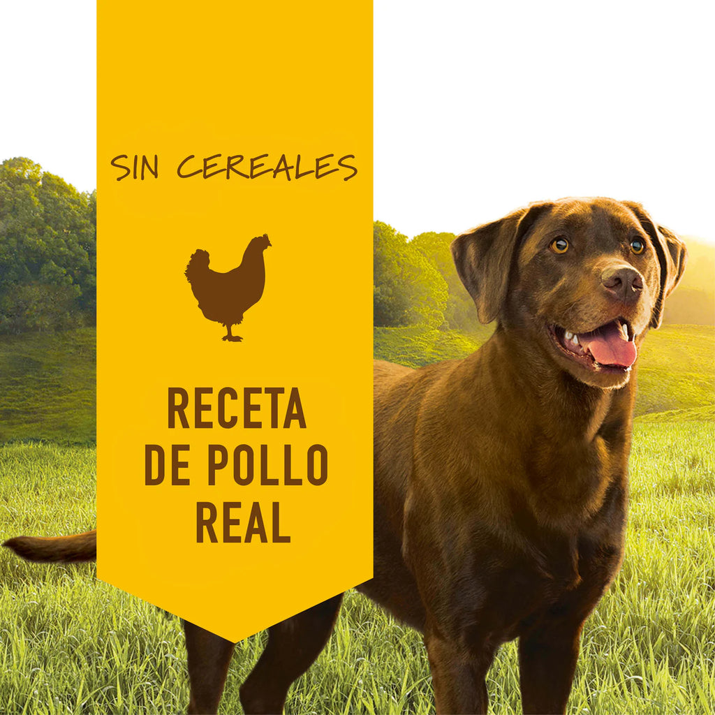 Instinct Original | Alimento Húmedo para Perro | Sabor Pollo | Lata 374 g