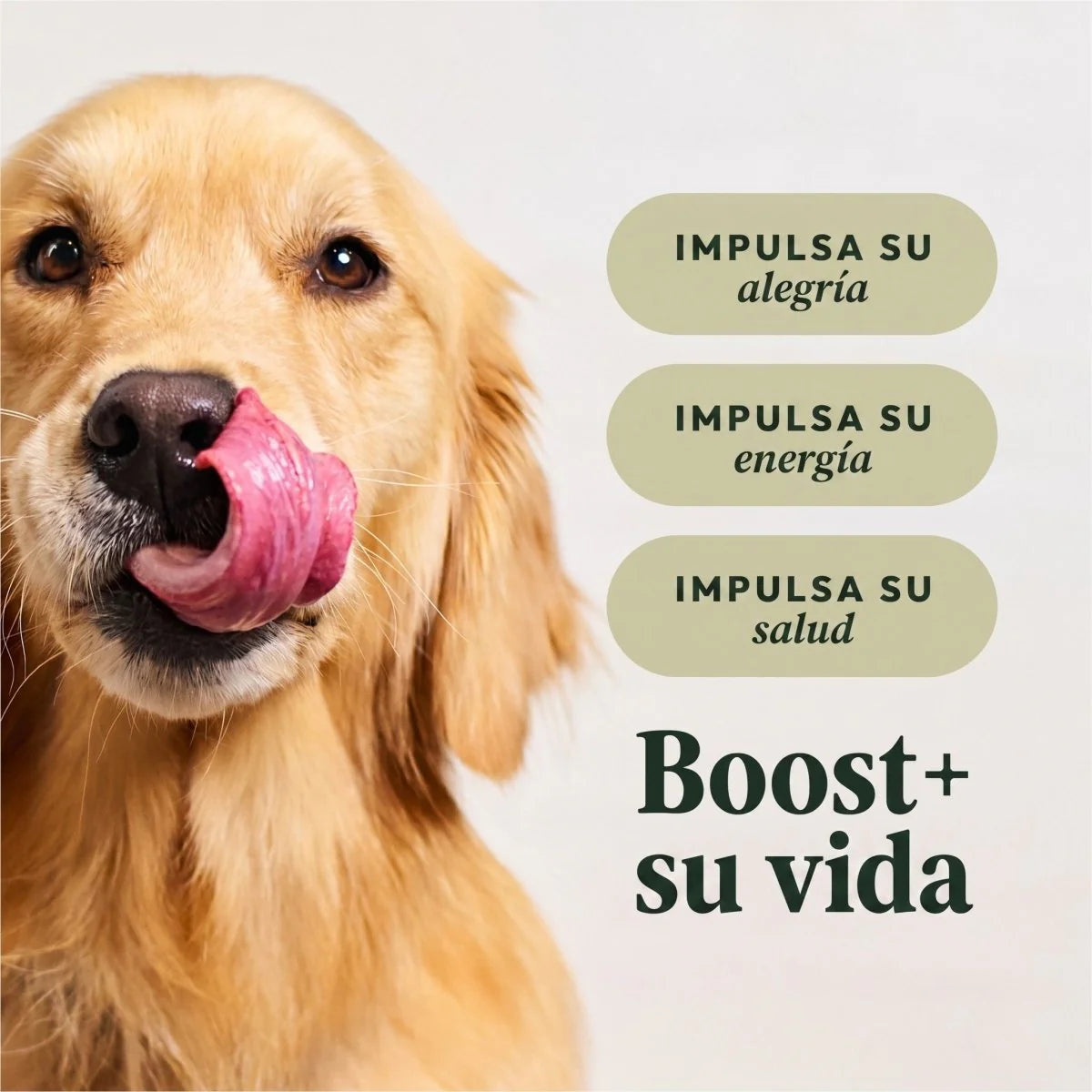 Instinct Raw Boost Alimento Seco para Perro | Reseta de Res | Sin Granos