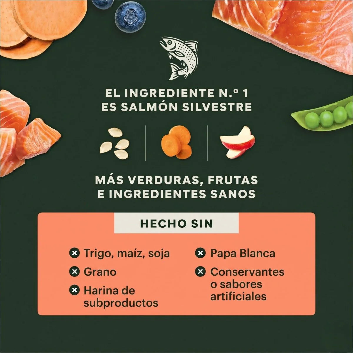 Instinct Raw Boost Alimento Seco para Perro | Receta de Salmón | Sin Cereales