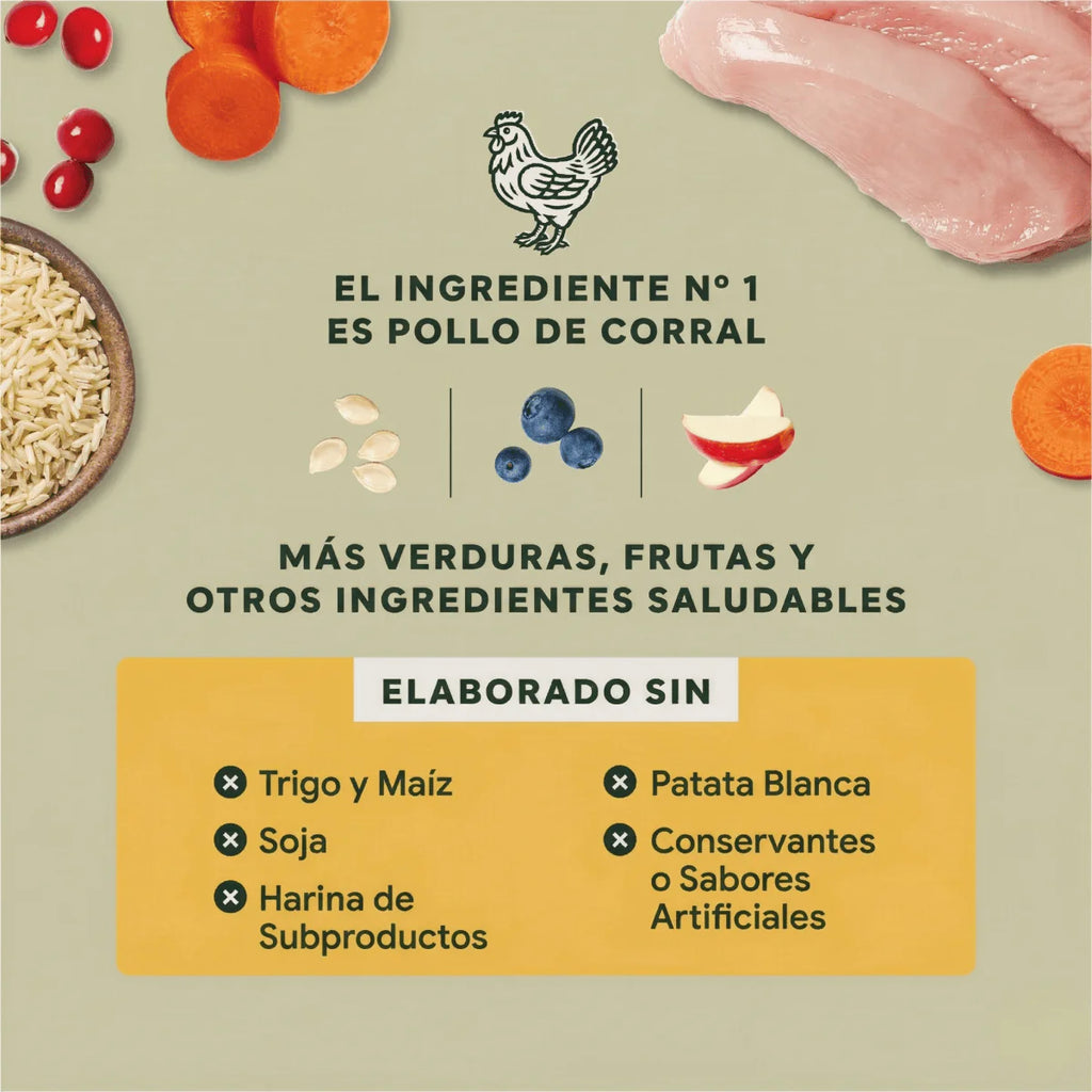Instinct Raw Boost Alimento Seco para Cachorros | Receta de Pollo