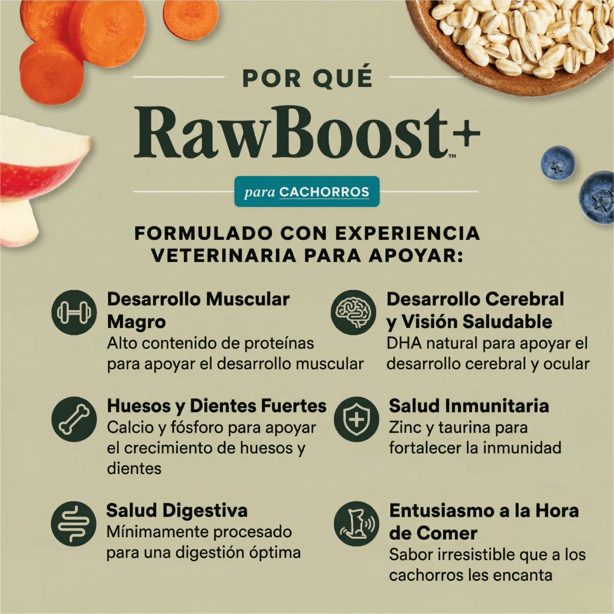 Instinct Raw Boost Alimento Seco para Cachorros | Receta de Pollo
