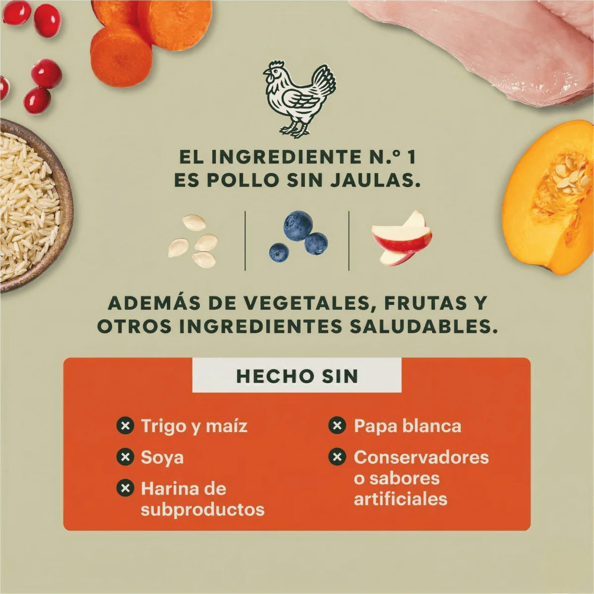 Instinct Raw Boost | Alimento Seco para Perro| Salud Digestiva | Pollo con Probióticos y Granos