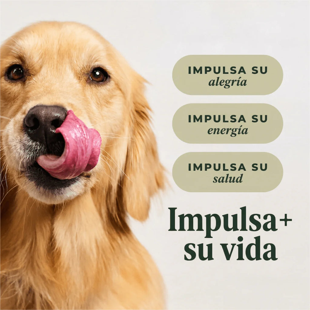 Instinct Raw Boost | Alimento Seco para Perro| Salud Digestiva | Pollo con Probióticos y Granos
